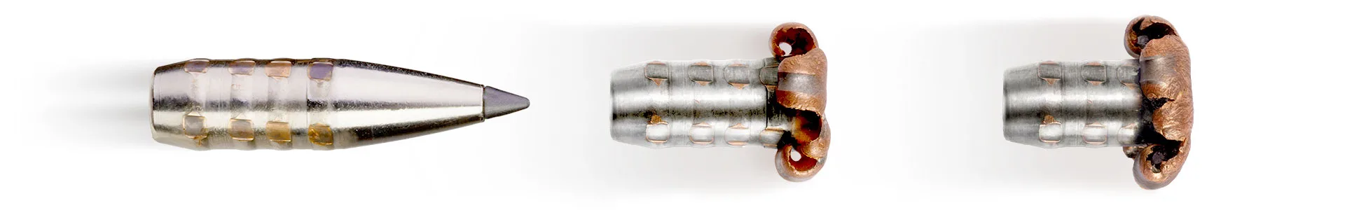 BLA CDX Geschoss Aufpilzung 2