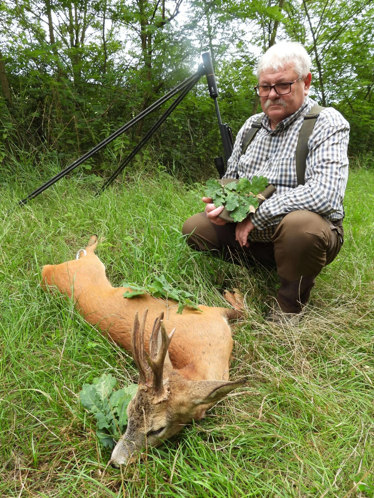 Bronzérmes bak a terítéken 1 DSCN0722 2 2