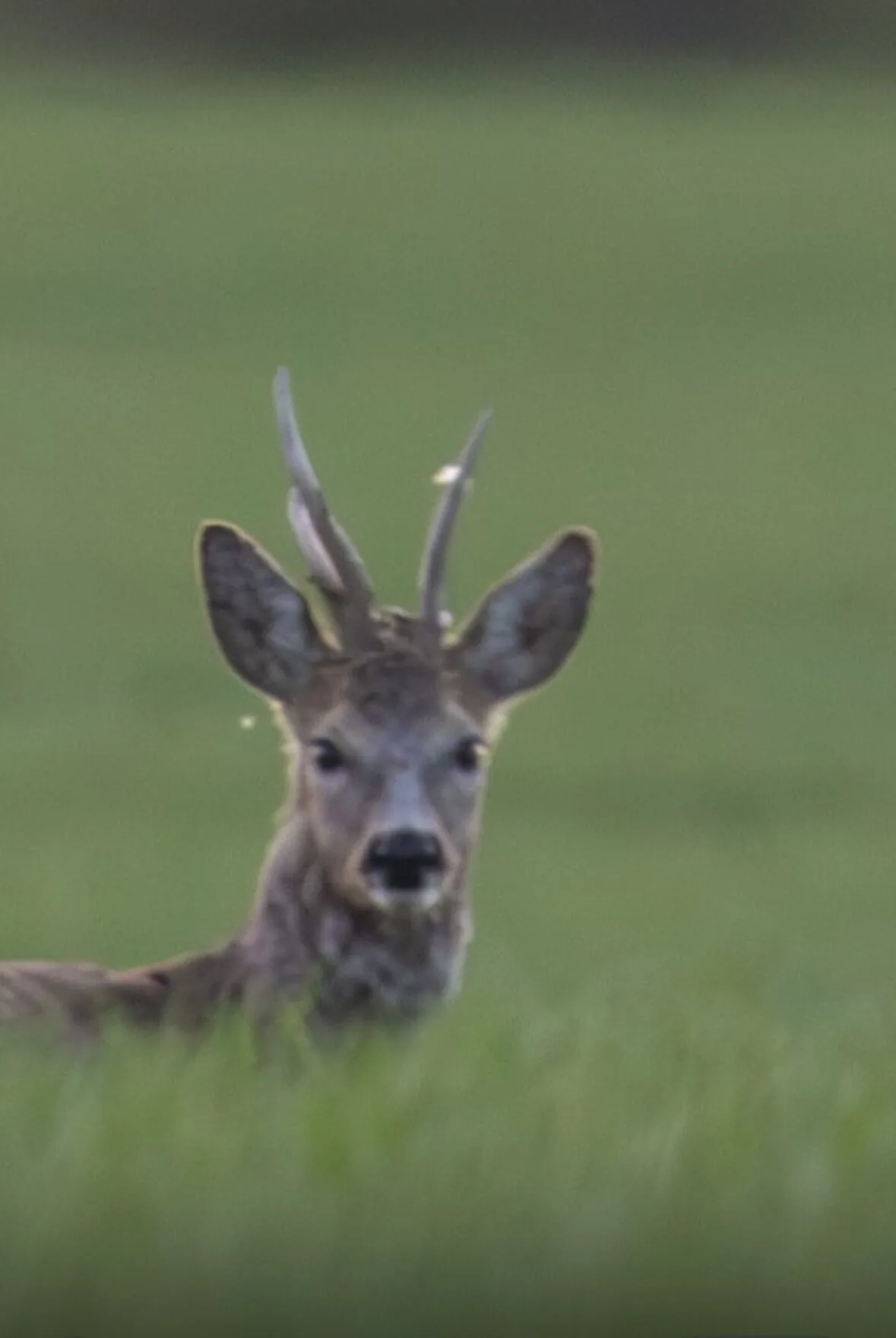 Nem mindennapi idénykezdés... 2 IMG 3234