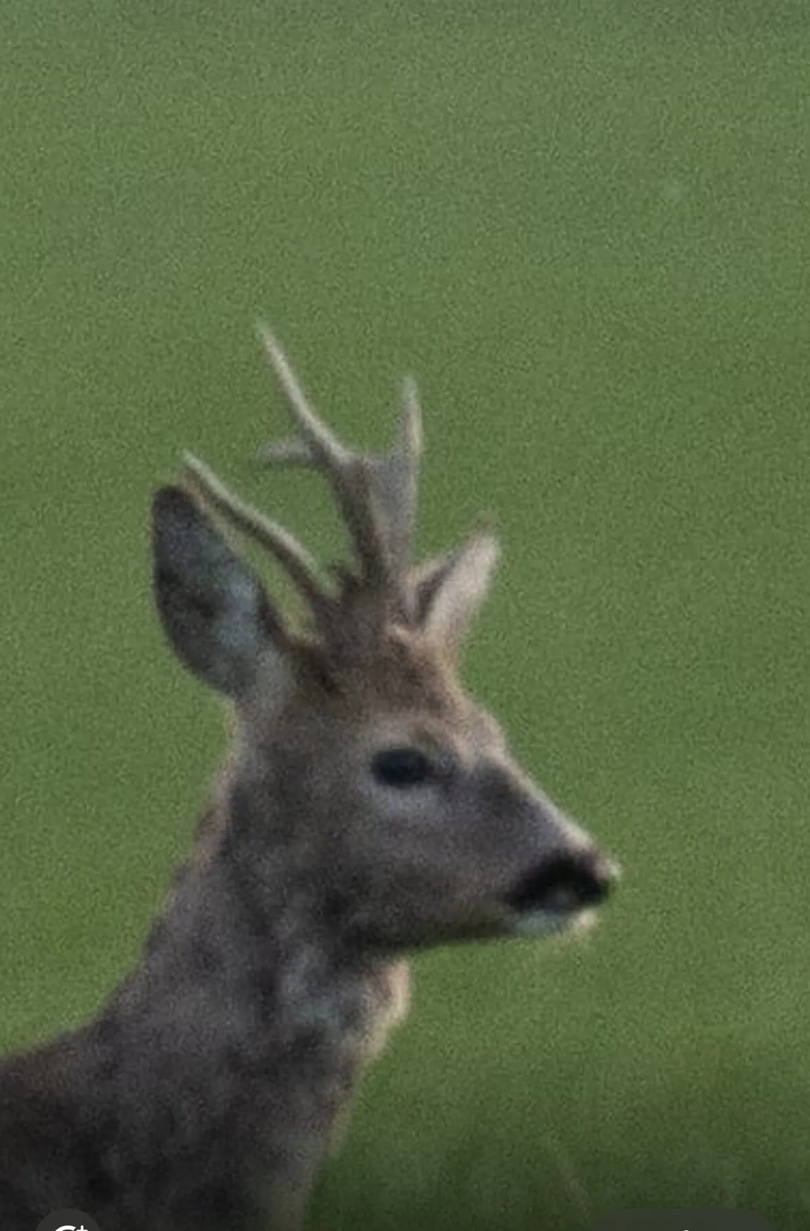 Nem mindennapi idénykezdés... 1 IMG 3254