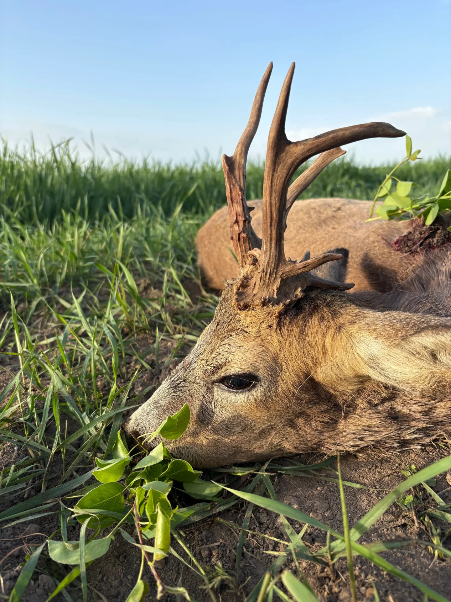 Nem mindennapi idénykezdés... 4 IMG 3444 2