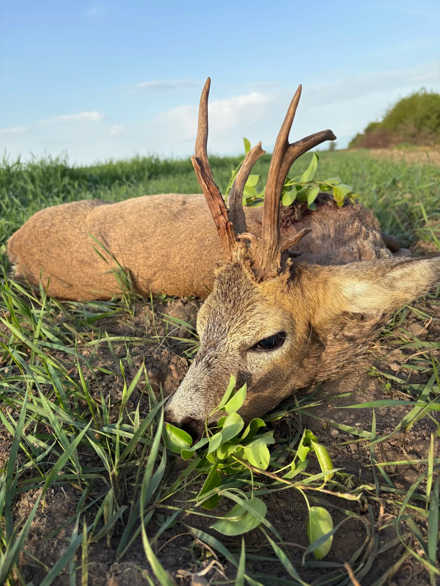 Nem mindennapi idénykezdés... 3 IMG 3445 2
