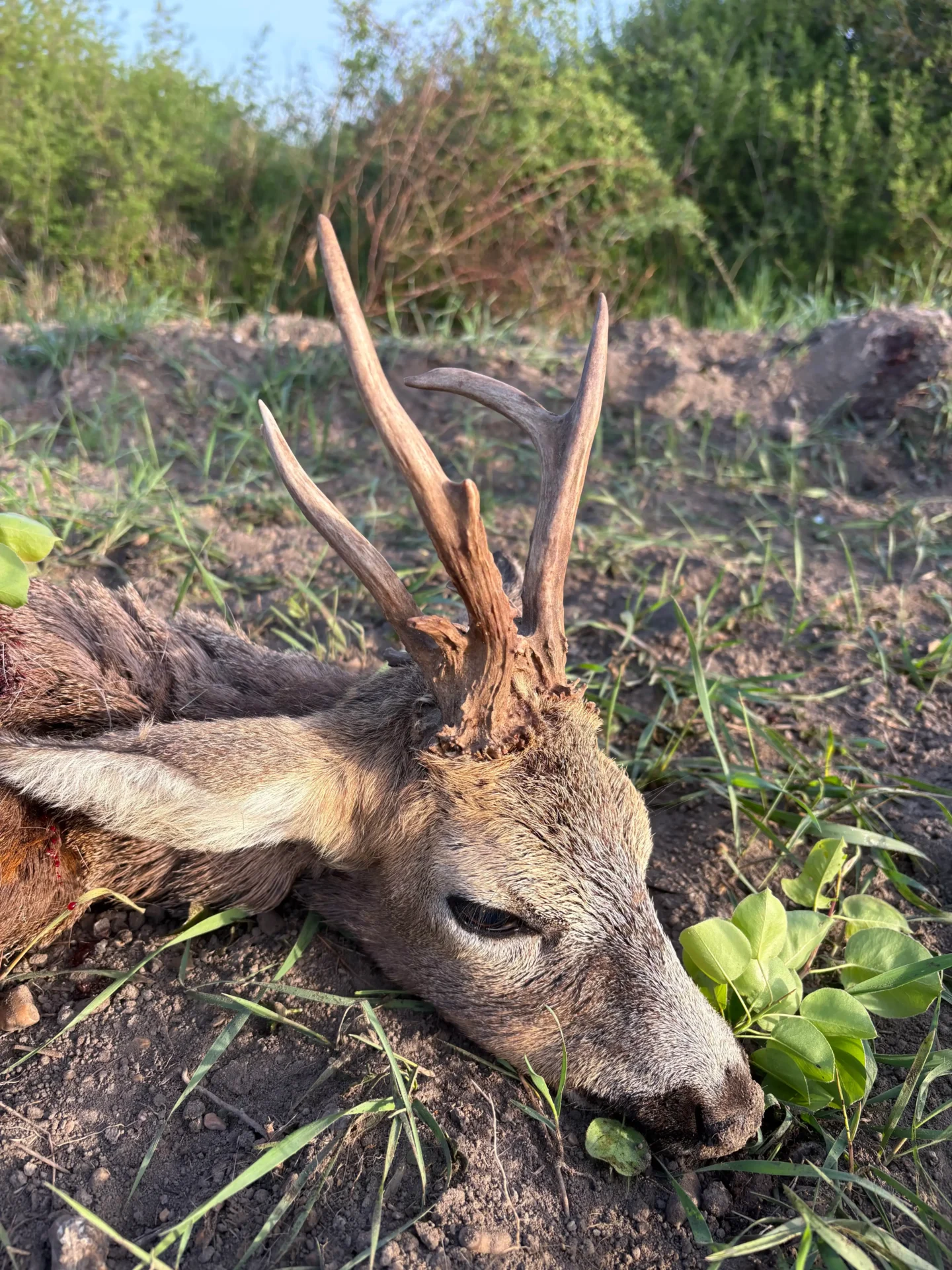 Nem mindennapi idénykezdés... 7 IMG 3450 2