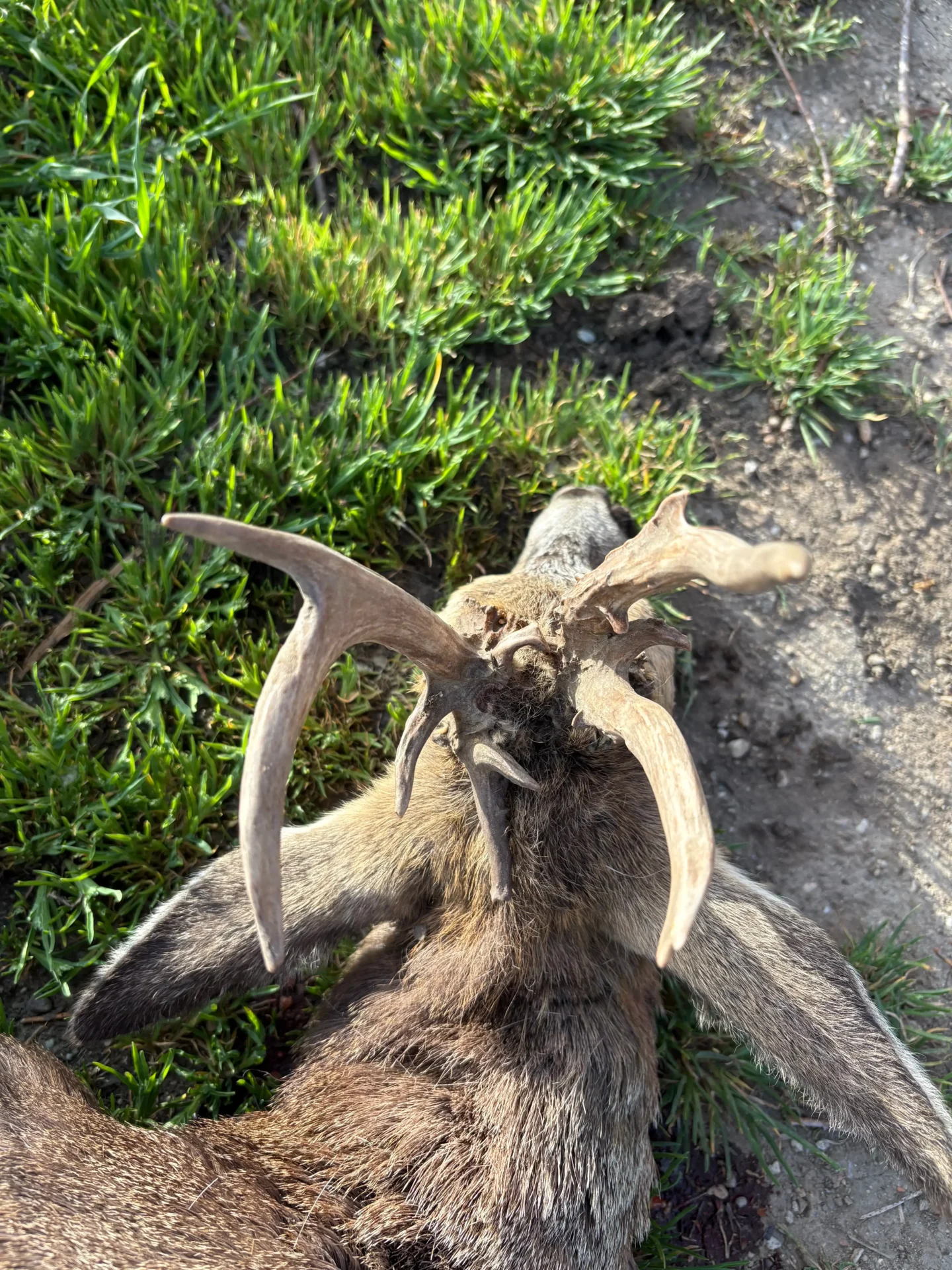 Nem mindennapi idénykezdés... 5 IMG 3470 2