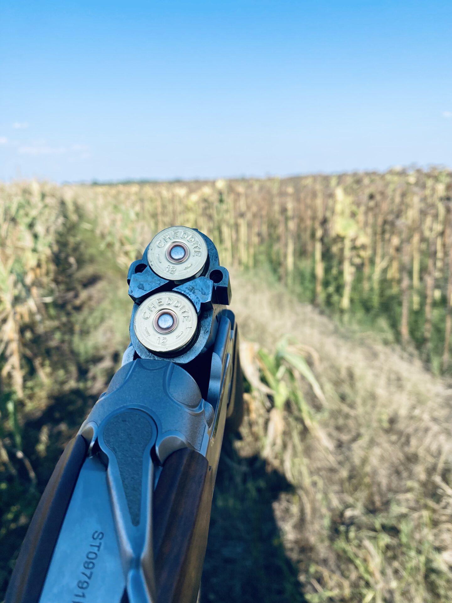 Gerlevadászat: Mit vigyek magammal? 5 IMG 3803