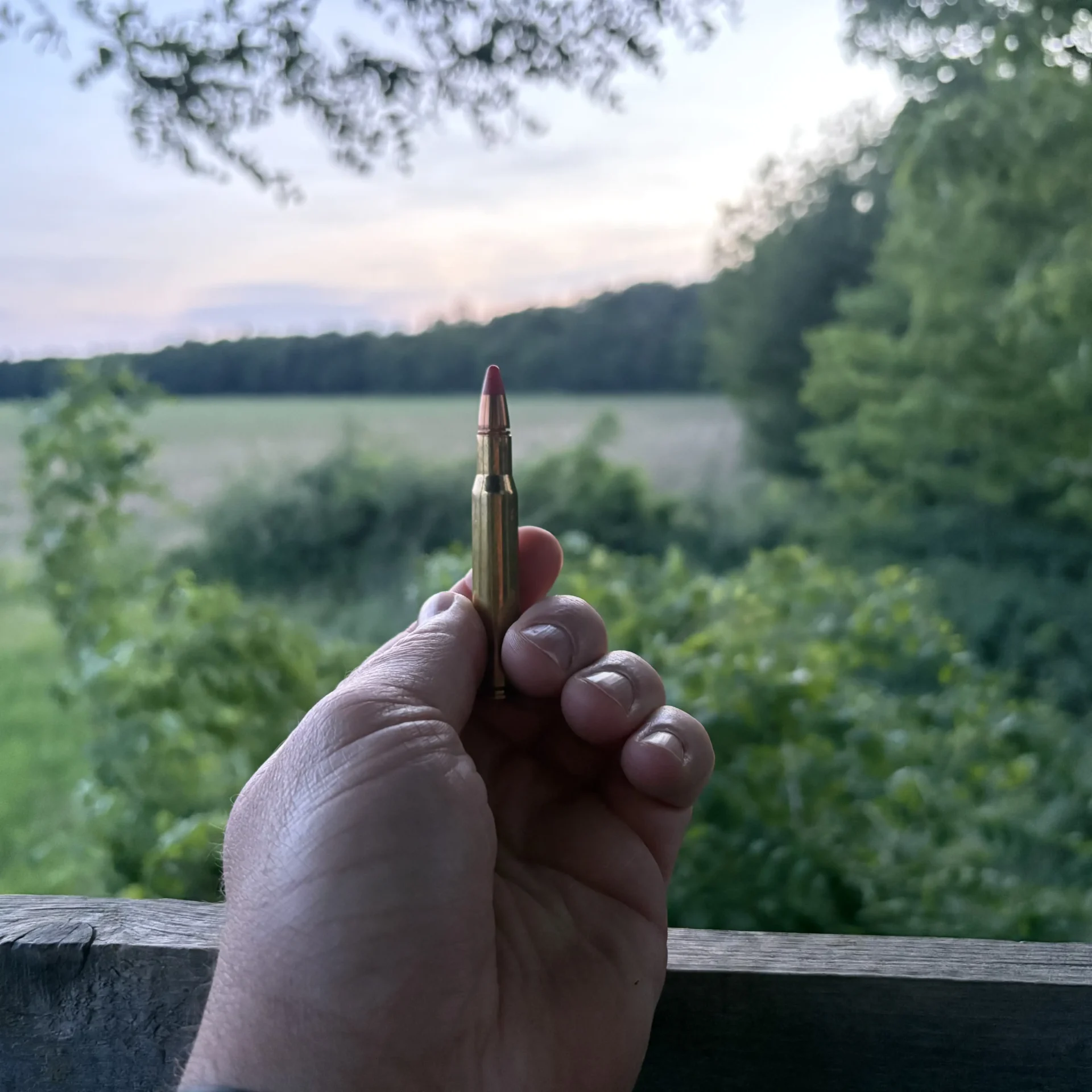 Tapasztalataim: sax lőszer 6 IMG 4672