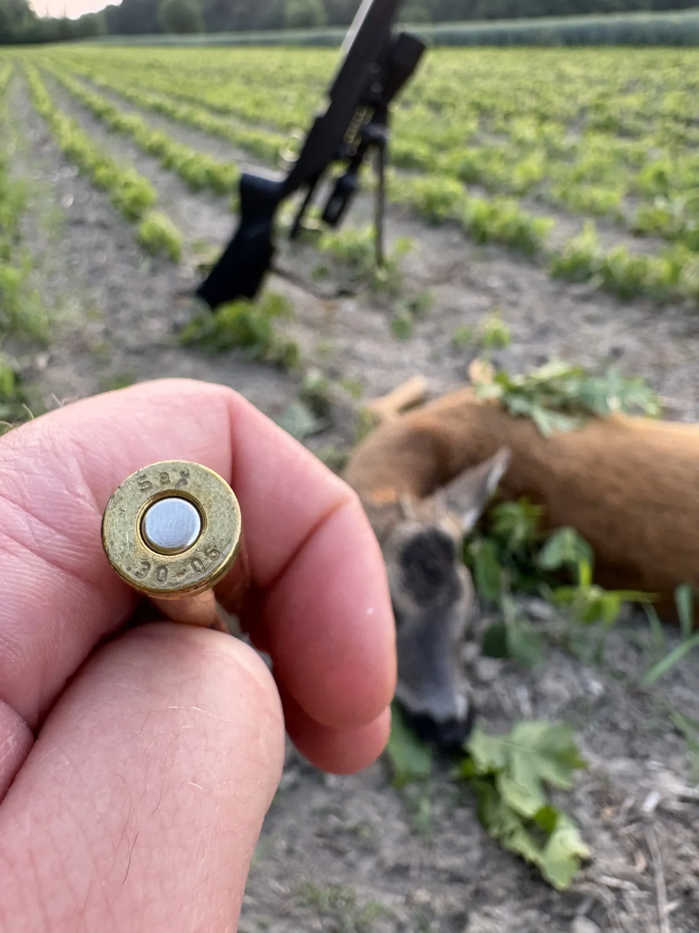 Tapasztalataim: sax lőszer 7 IMG 4803