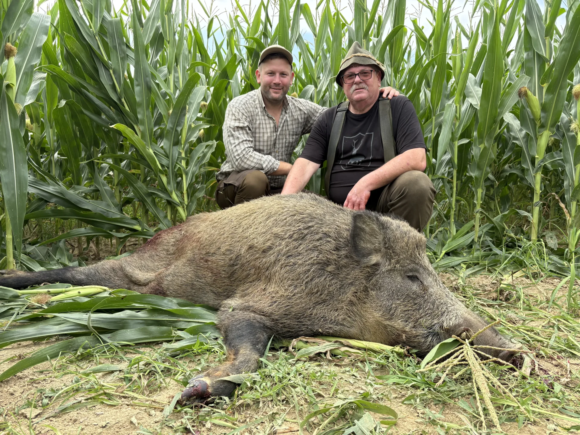 Nagytestű vaddisznó kan a terítéken 3 IMG 5850 2
