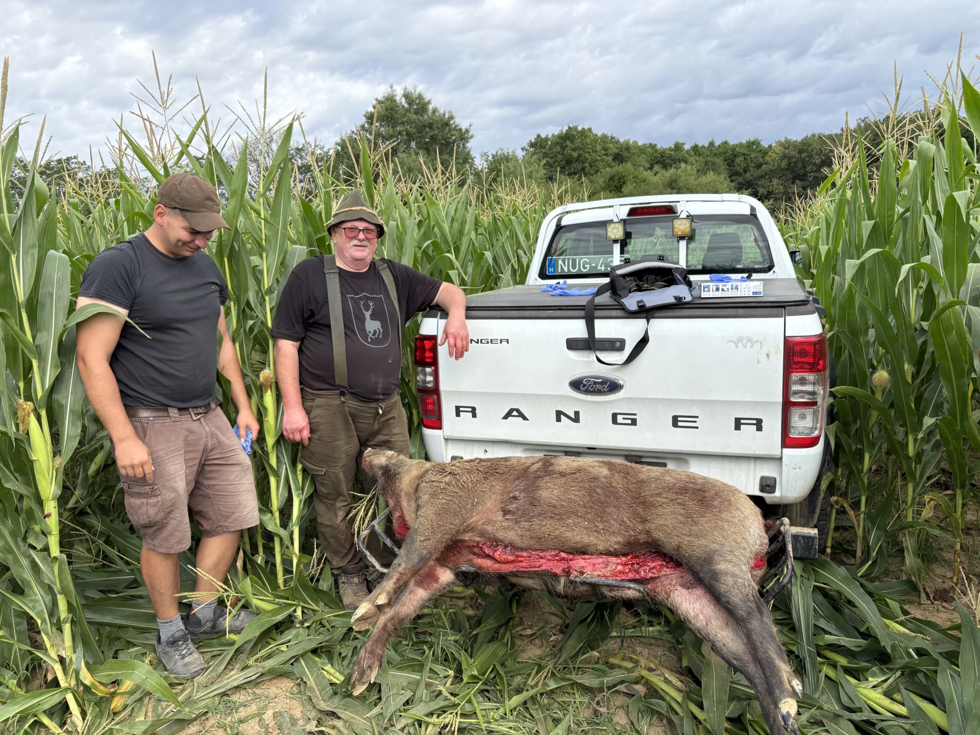 Nagytestű vaddisznó kan a terítéken 2 IMG 5854 1