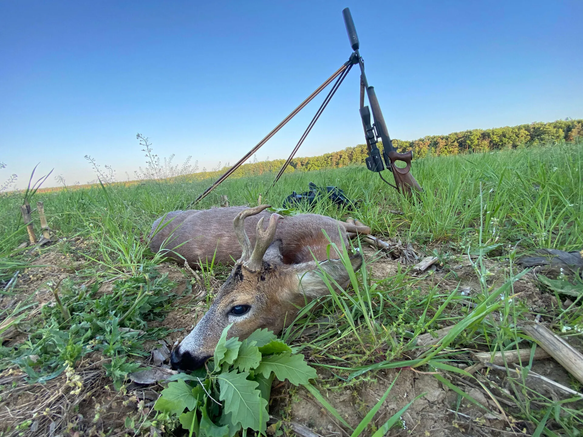 Geco Express, gyakorlati tapasztalataink a lőszerrel 2 IMG 8572