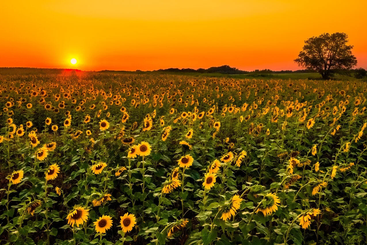 Gerlevadászat: Mit vigyek magammal?